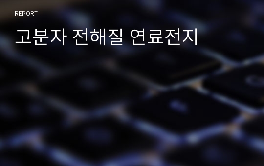 고분자 전해질 연료전지