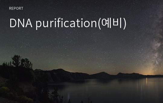 DNA purification(예비)