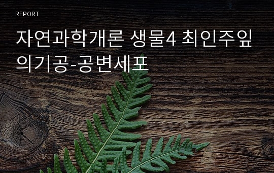 자연과학개론 생물4 최인주잎의기공-공변세포