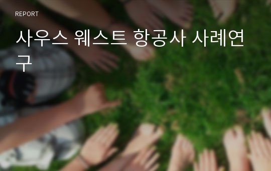 사우스 웨스트 항공사 사례연구