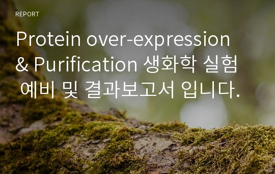 Protein over-expression &amp; Purification 생화학 실험 예비 및 결과보고서 입니다.