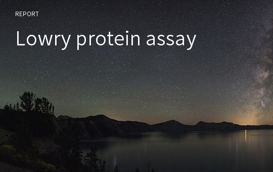 Lowry protein assay