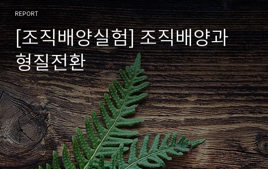 [조직배양실험] 조직배양과 형질전환