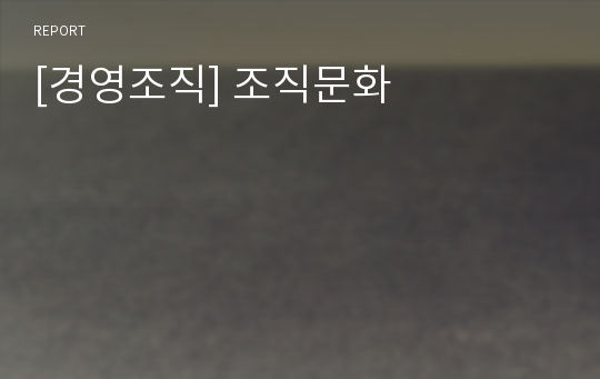 [경영조직] 조직문화