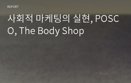사회적 마케팅의 실현, POSCO, The Body Shop
