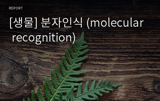 [생물] 분자인식 (molecular recognition)