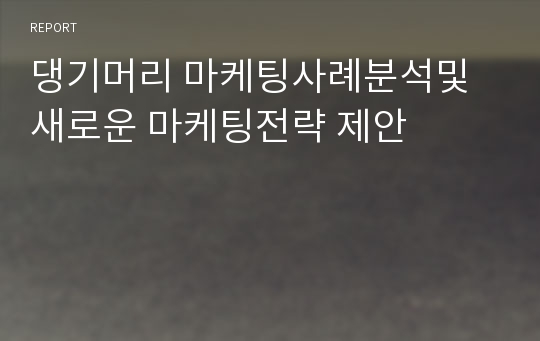 댕기머리 마케팅사례분석및 새로운 마케팅전략 제안