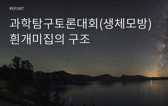 과학탐구토론대회(생체모방) 흰개미집의 구조