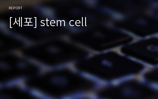 [세포] stem cell