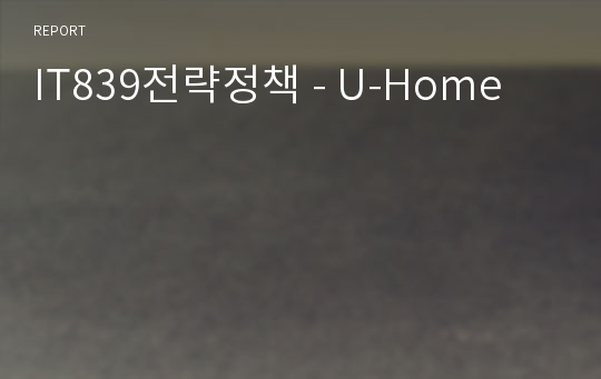 IT839전략정책 - U-Home