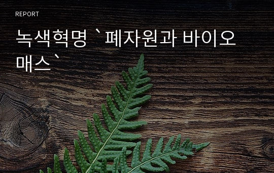 녹색혁명 `폐자원과 바이오매스`