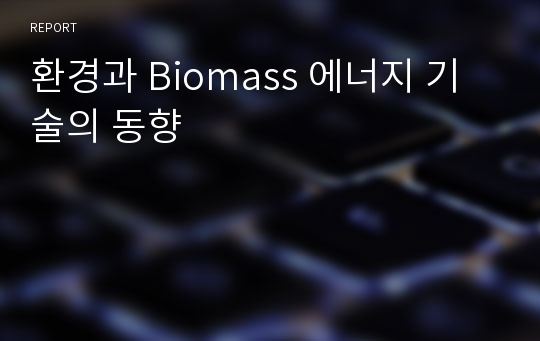 환경과 Biomass 에너지 기술의 동향