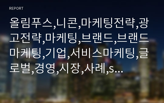 올림푸스,니콘,마케팅전략,광고전략,마케팅,브랜드,브랜드마케팅,기업,서비스마케팅,글로벌,경영,시장,사례,swot,stp,4p