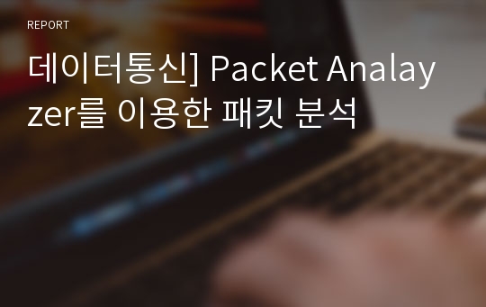 데이터통신] Packet Analayzer를 이용한 패킷 분석