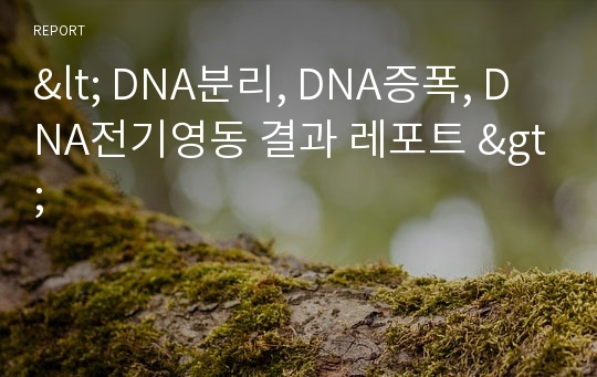 &lt; DNA분리, DNA증폭, DNA전기영동 결과 레포트 &gt;