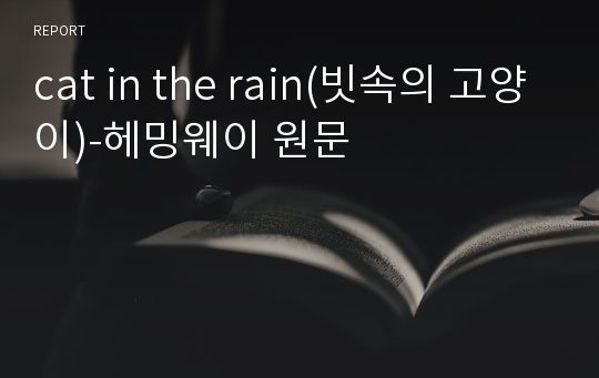 cat in the rain(빗속의 고양이)-헤밍웨이 원문