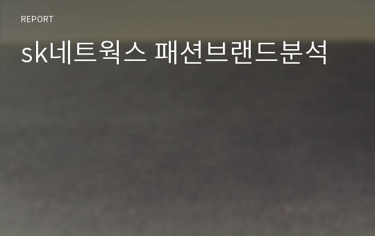 sk네트웍스 패션브랜드분석