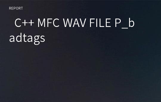   C++ MFC WAV FILE P_badtags