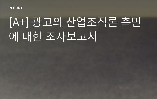 [A+] 광고의 산업조직론 측면에 대한 조사보고서