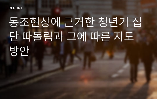 동조현상에 근거한 청년기 집단 따돌림과 그에 따른 지도방안