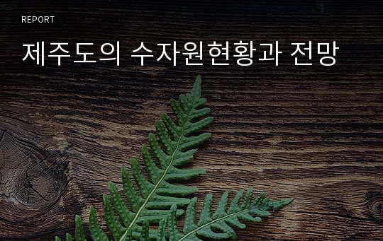 제주도의 수자원현황과 전망