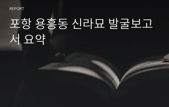 포항 용흥동 신라묘 발굴보고서 요약