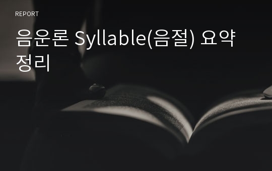 음운론 Syllable(음절) 요약 정리