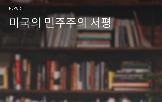 미국의 민주주의 서평