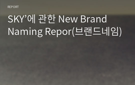 SKY’에 관한 New Brand Naming Repor(브랜드네임)