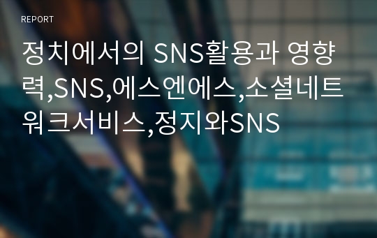 정치에서의 SNS활용과 영향력,SNS,에스엔에스,소셜네트워크서비스,정지와SNS