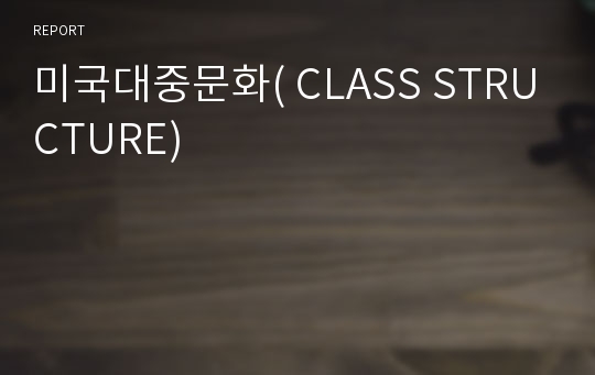 미국대중문화( CLASS STRUCTURE)