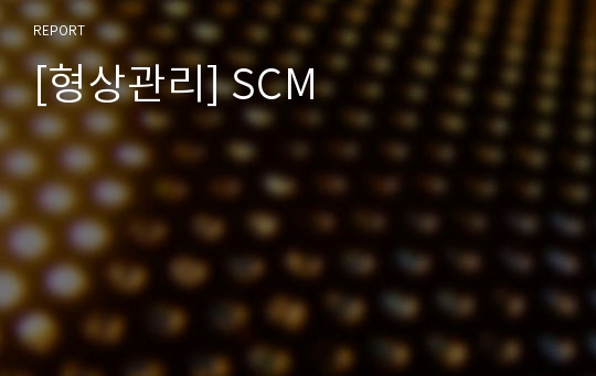 [형상관리] SCM