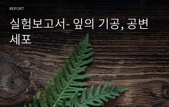 실험보고서- 잎의 기공, 공변세포