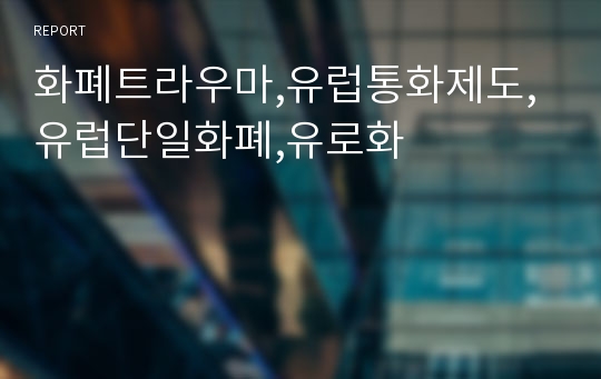 화폐트라우마,유럽통화제도,유럽단일화폐,유로화