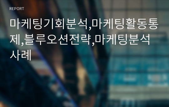 마케팅기회분석,마케팅활동통제,블루오션전략,마케팅분석사례