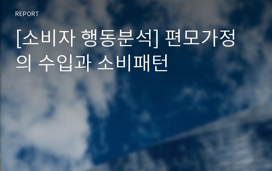 [소비자 행동분석] 편모가정의 수입과 소비패턴