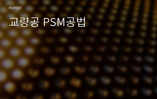 교량공 PSM공법