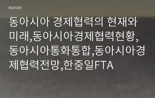 동아시아 경제협력의 현재와미래,동아시아경제협력현황,동아시아통화통합,동아시아경제협력전망,한중일FTA