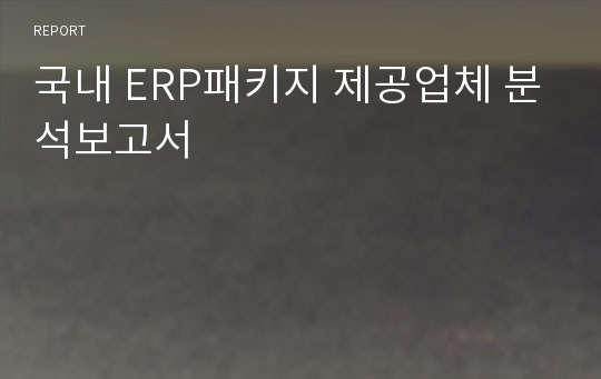 국내 ERP패키지 제공업체 분석보고서