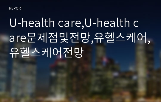 U-health care,U-health care문제점및전망,유헬스케어,유헬스케어전망