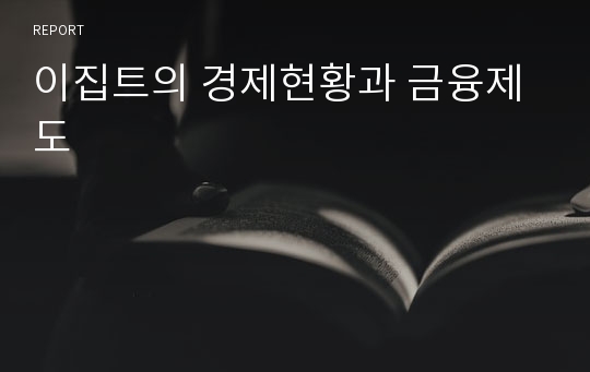 이집트의 경제현황과 금융제도