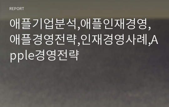 애플기업분석,애플인재경영,애플경영전략,인재경영사례,Apple경영전략