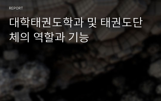 대학태권도학과 및 태권도단체의 역할과 기능