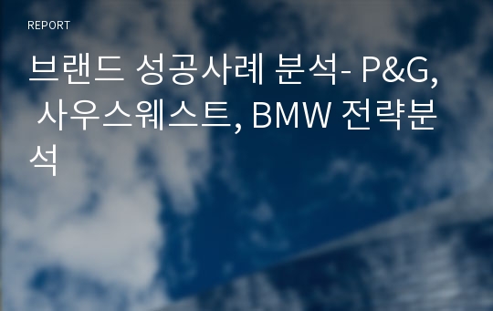 브랜드 성공사례 분석- P&amp;G, 사우스웨스트, BMW 전략분석