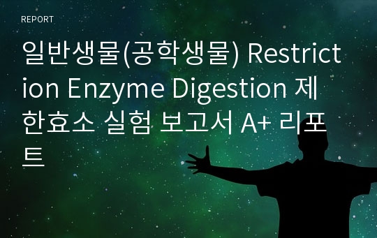 일반생물(공학생물) Restriction Enzyme Digestion 제한효소 실험 보고서 A+ 리포트