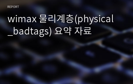 wimax 물리계층(physical _badtags) 요약 자료