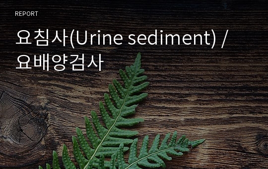 요침사(Urine sediment) /요배양검사