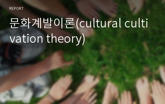 문화계발이론(cultural cultivation theory)