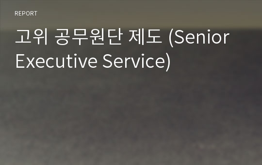 고위 공무원단 제도 (Senior Executive Service)