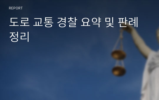 도로 교통 경찰 요약 및 판례정리